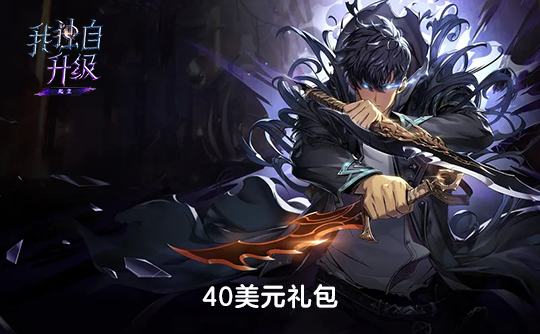 40美元礼包（国际服）上号代充 我独自升级：Arise